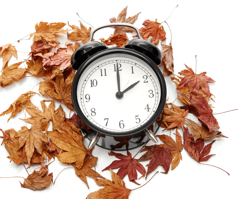 clock on top of dried leaves.
