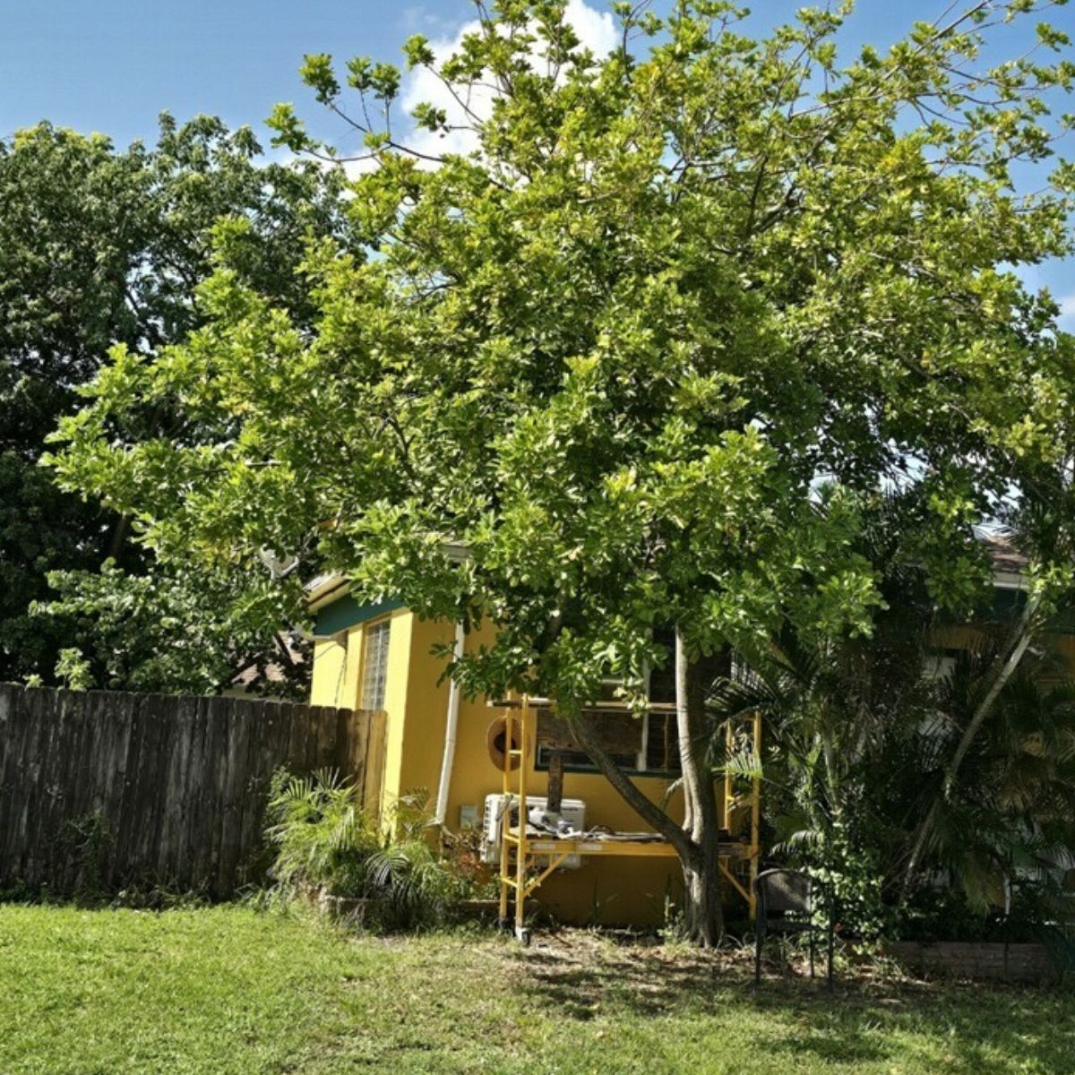 Clean Backyard Space in Pembroke Pines | Get Your Backyard Rid of Any Junk it Has Today!