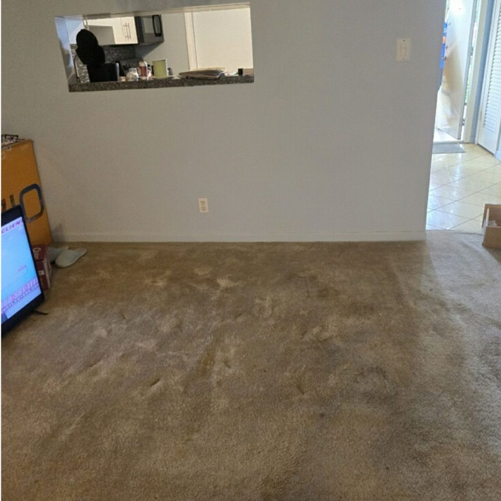 Free Space in Fort Lauderdale | Get Your Space Free of Unwanted Junk