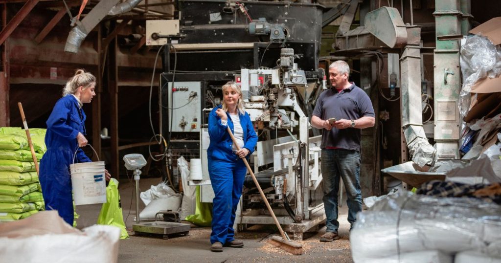 Basement Junk Removal and Hauling